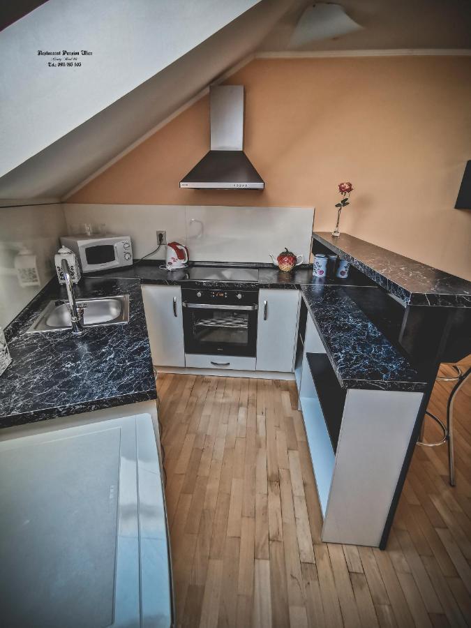 Restaurant Pansion Wien Cierny Brod Екстериор снимка